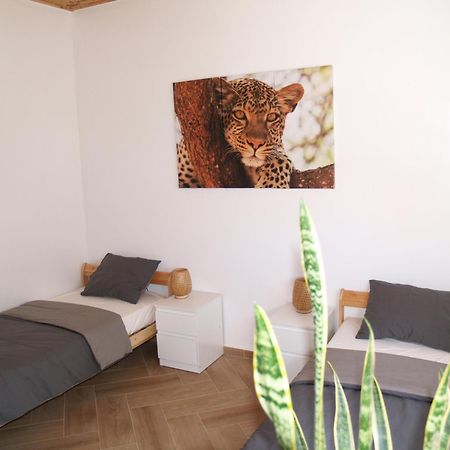 Dar Makai Surf Hotel Tamraght Εξωτερικό φωτογραφία