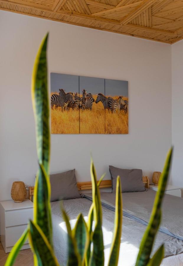 Dar Makai Surf Hotel Tamraght Εξωτερικό φωτογραφία
